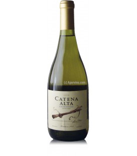 Catena Alta Chardonnay 2013